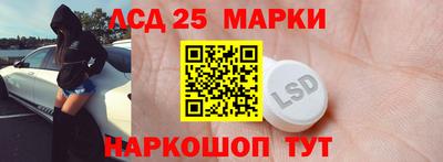 прущие грибы Кандалакша