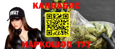 прущие грибы Кандалакша