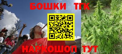 прущие грибы Кандалакша