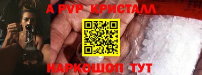 прущие грибы Кандалакша