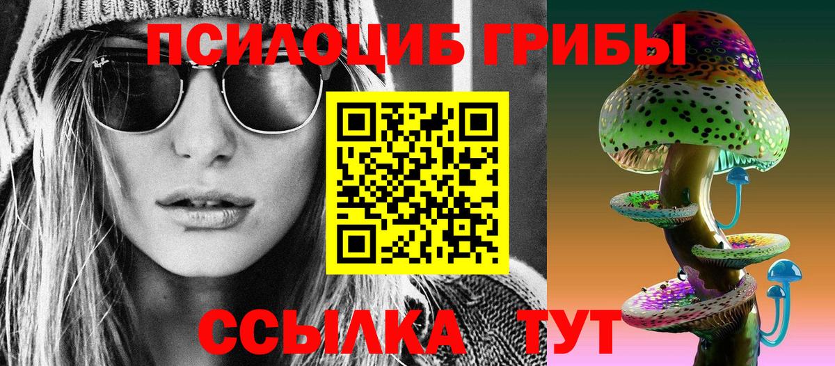 Майский  Галлюциногенные грибы мухоморы  дарнет шоп  Вход с VPN  Псилоцибиновые грибы Psilocybe 